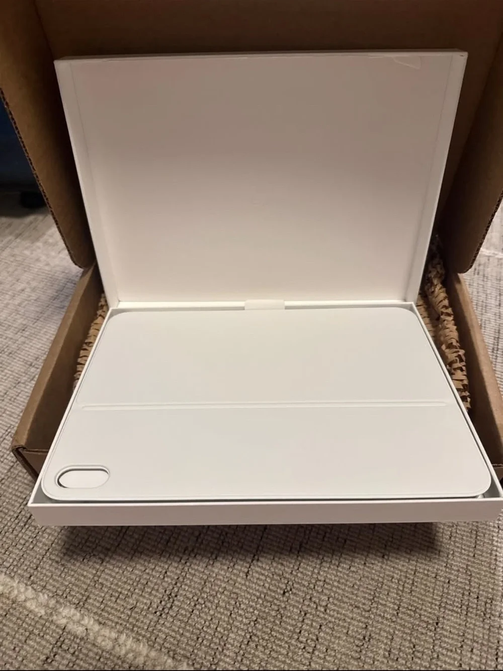 Apple iPad magic keyboard folio